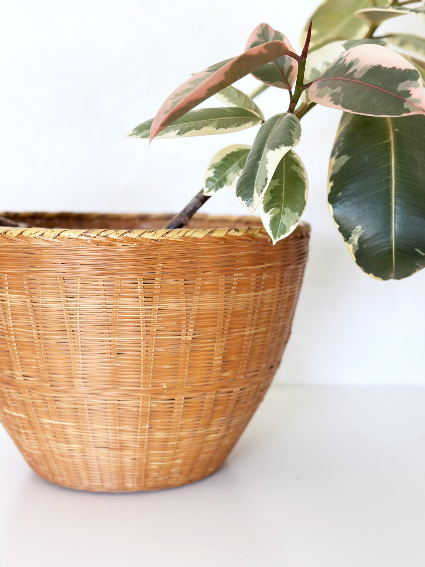 Wicker Houseplant Basket