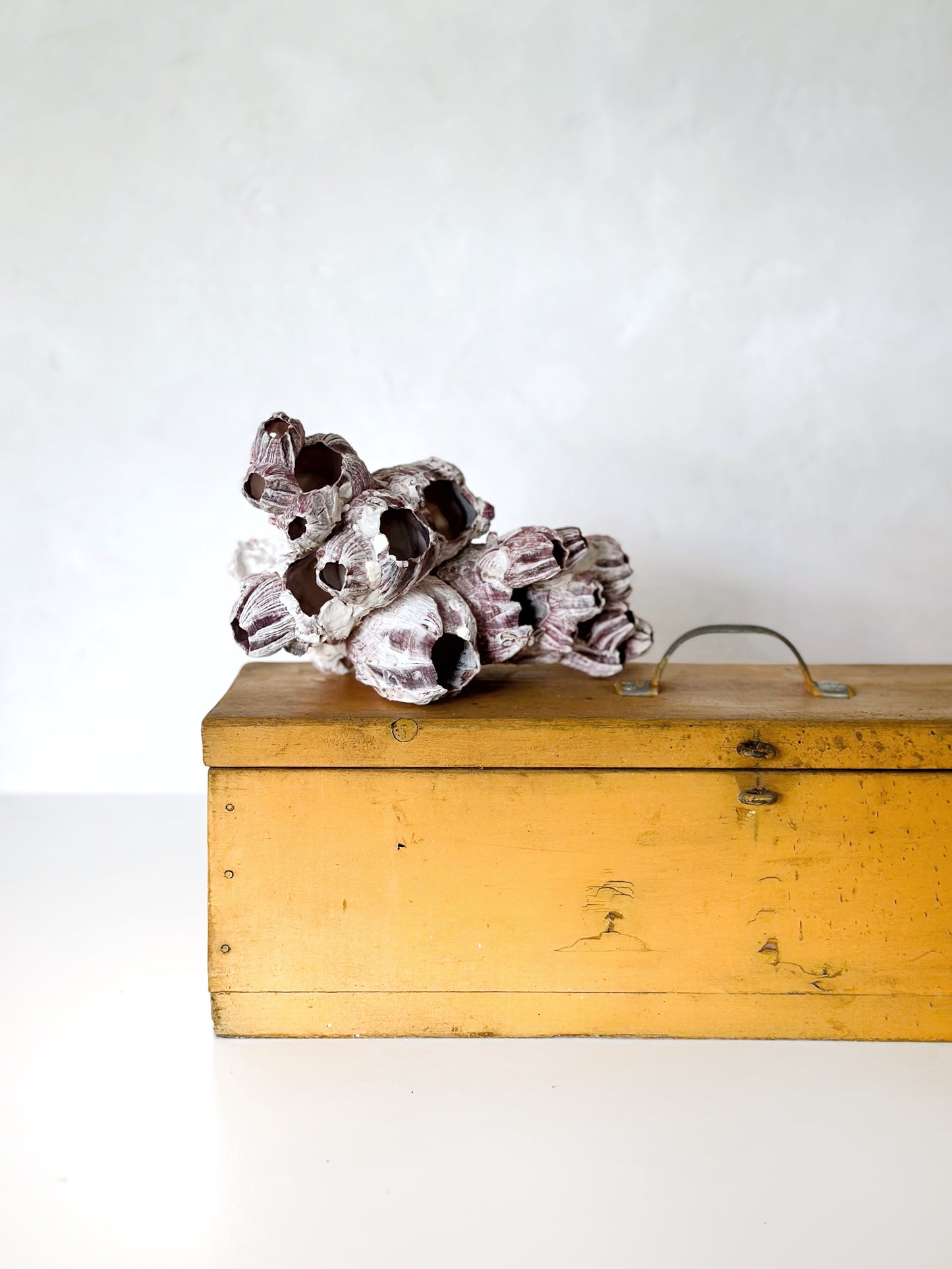 Yellow wooden box