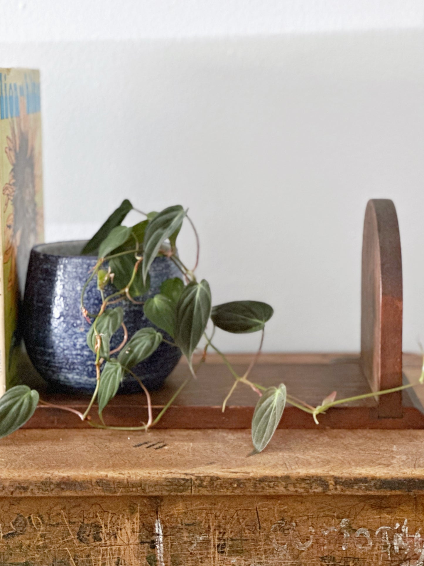 Vintage Wooden Tabletop Book Rack