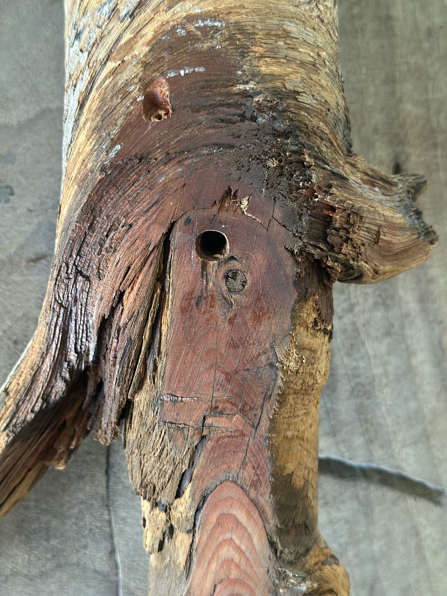Hand Carved Wood Art