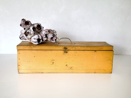 Yellow wooden box